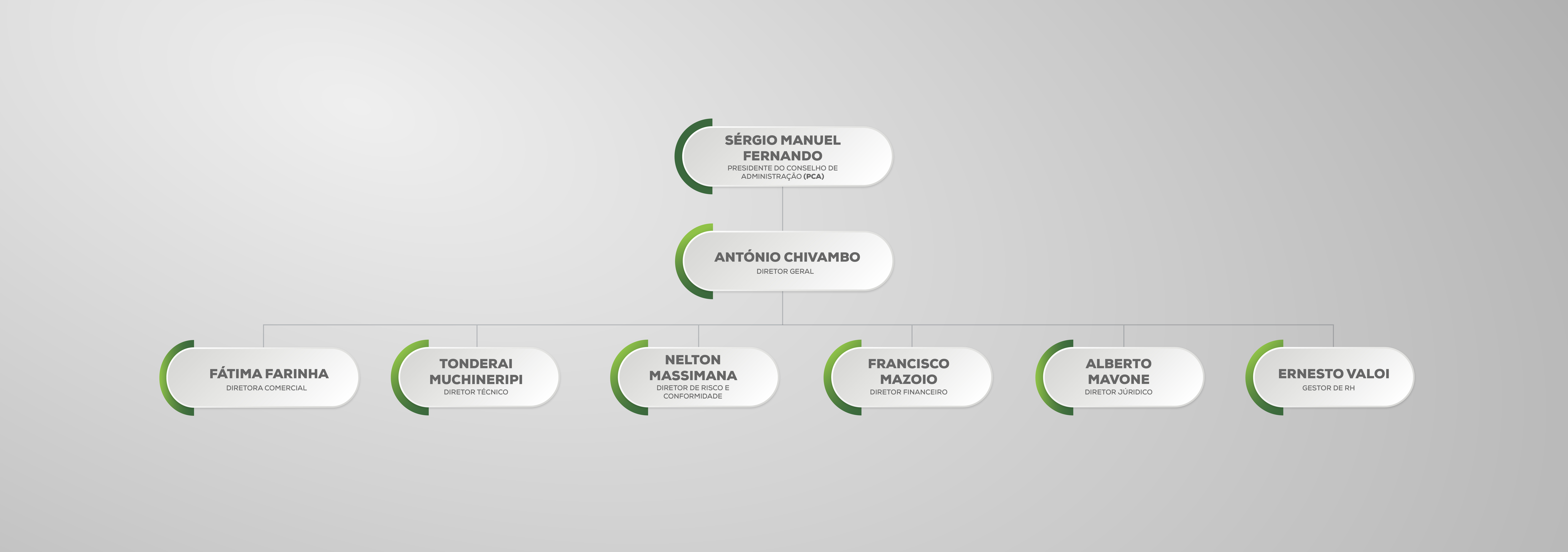 Organograma Imperial Insurance